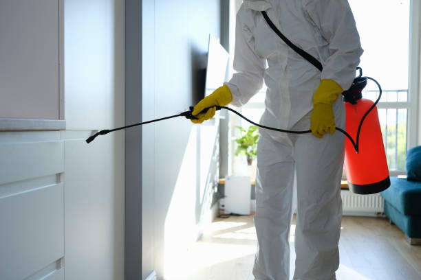 Best Home Mold Removal  in Butner, NC